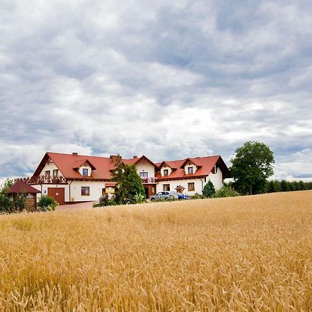 Willa Wojtasowka Obrazow Buitenkant foto
